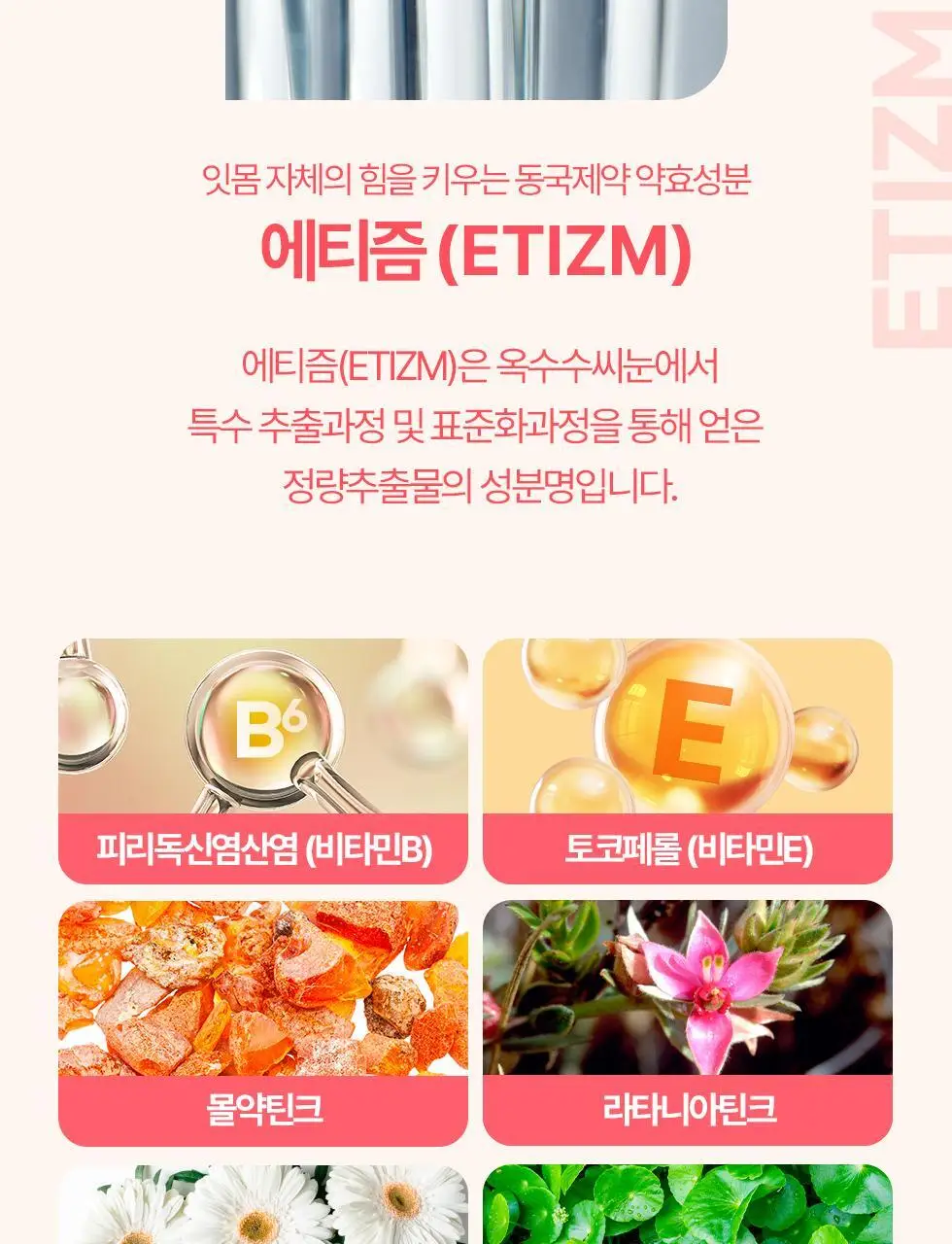[NEW] 동국제약 윈플렉스 잇몸치약 핑크 100g 상세페이지 8